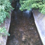 43a-Plömnitz Unweit Ortsausgang Preußlitz Ziethe Flussaufwärts Blick Nach Nordwesten (2)