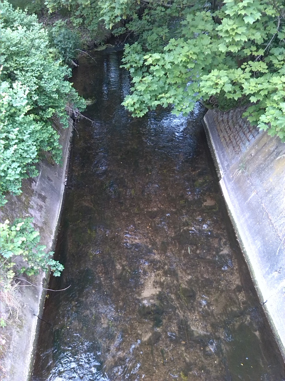 43a-Plömnitz Unweit Ortsausgang Preußlitz Ziethe Flussaufwärts Blick Nach Nordwesten (2)