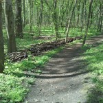 44-Ostweg Blick Nach Norden Zu Absperrung Am Westrand (1)