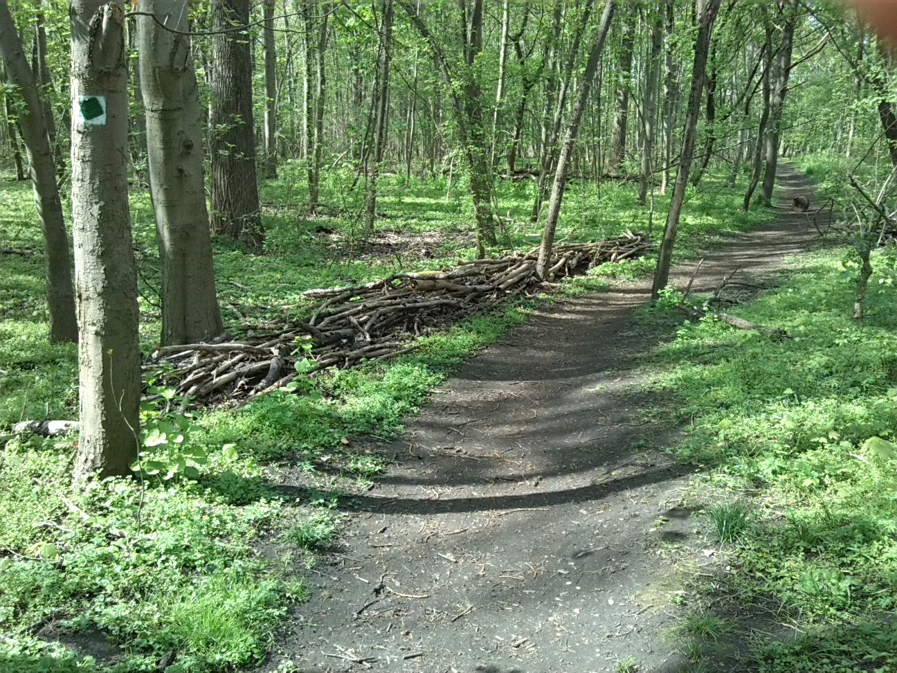 44-Ostweg Blick Nach Norden Zu Absperrung Am Westrand (1)