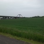 44a-Saaleaue Nördlich Alsleben Blick Nach Nordosten Brücke BAB14 In Richtung Beesedau (1)