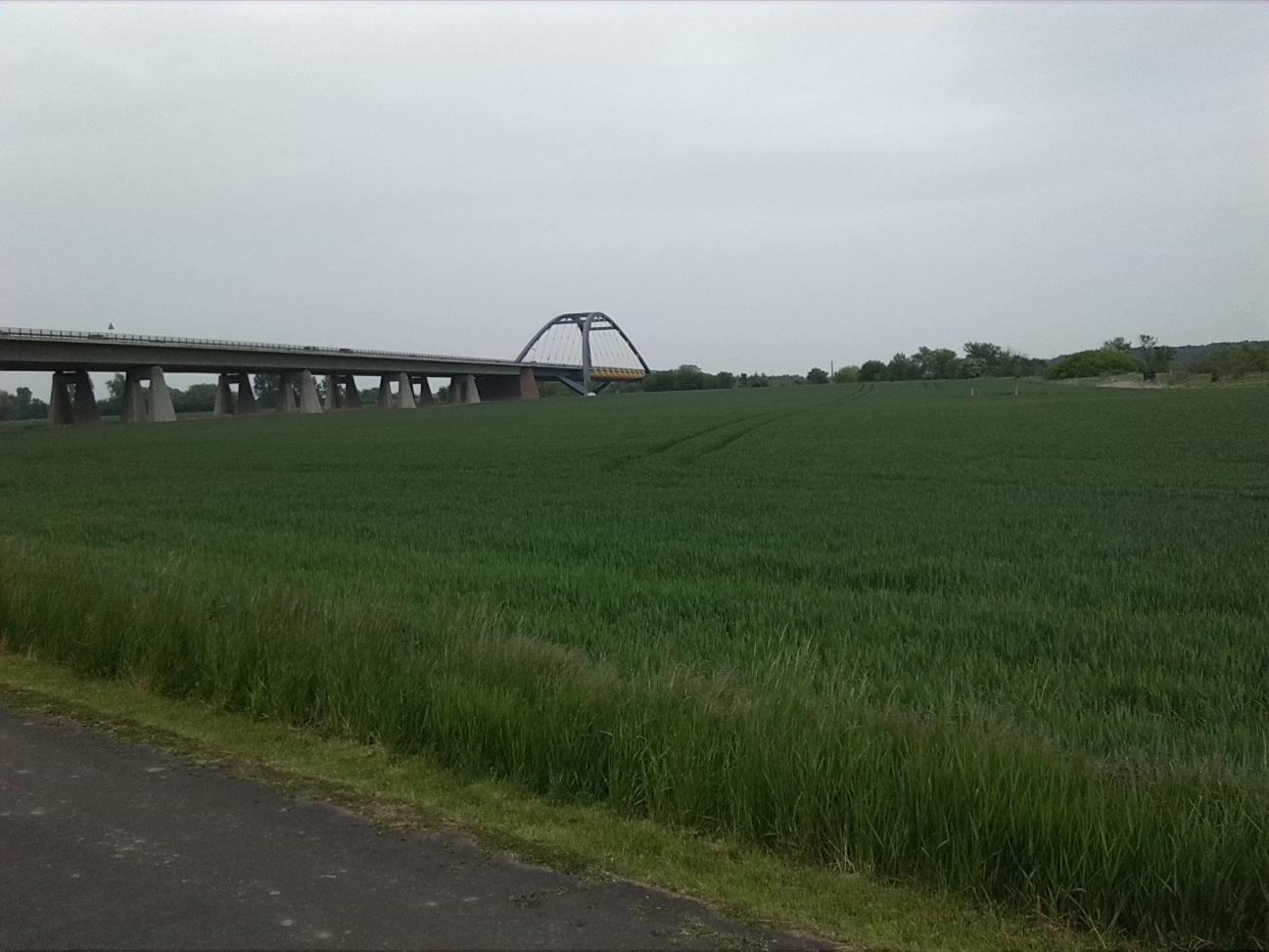 44a-Saaleaue Nördlich Alsleben Blick Nach Nordosten Brücke BAB14 In Richtung Beesedau (1)
