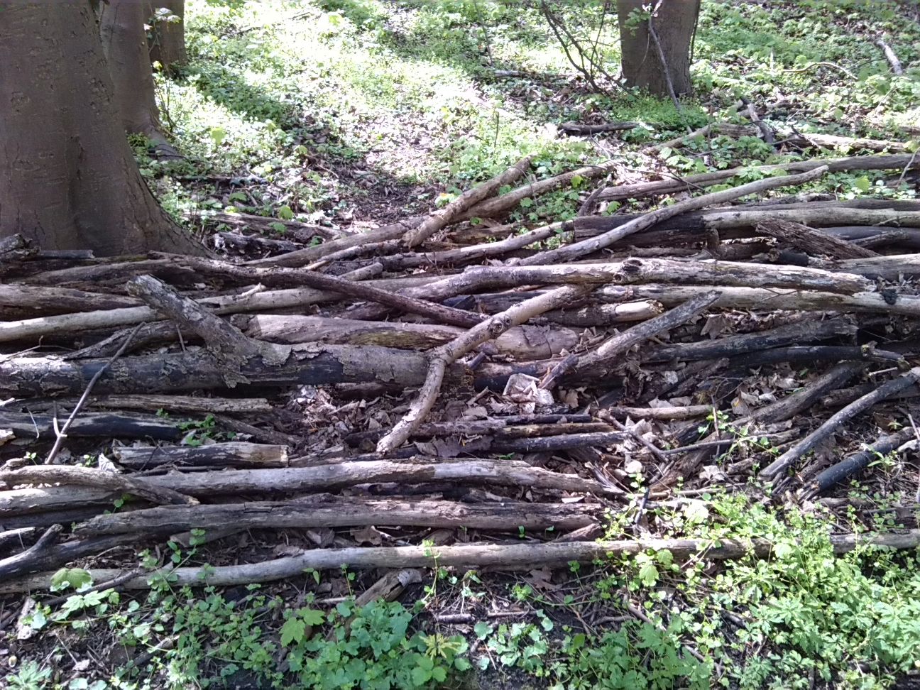 45-Ostweg Absperrung Am Westrand Des Weges (1)