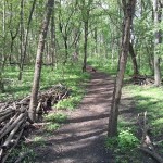 46-Ostweg Blick Nach Nordwesten Entlang Absperrung Am Westrand (1)