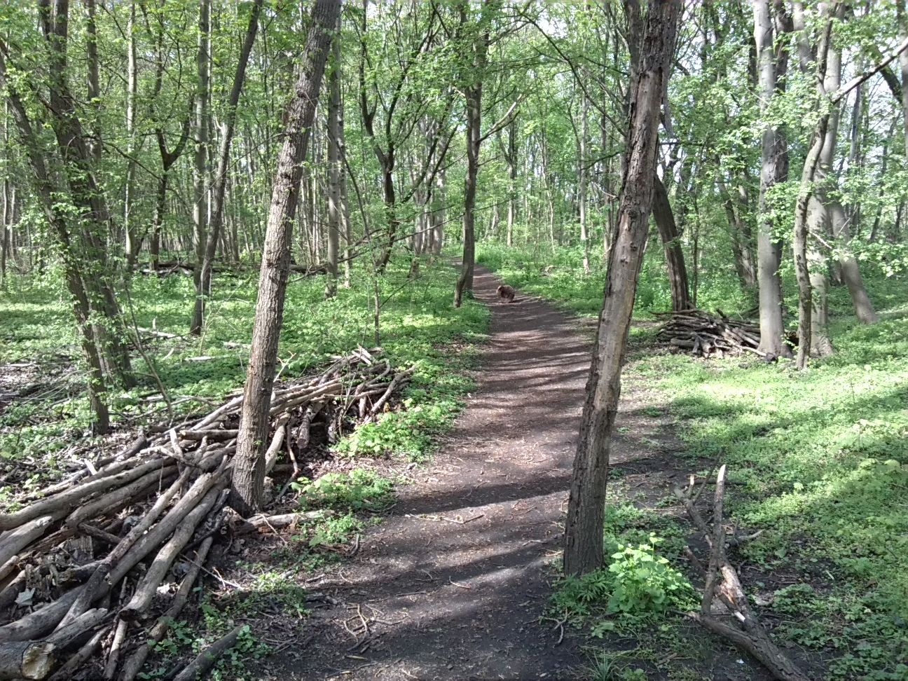 46-Ostweg Blick Nach Nordwesten Entlang Absperrung Am Westrand (1)