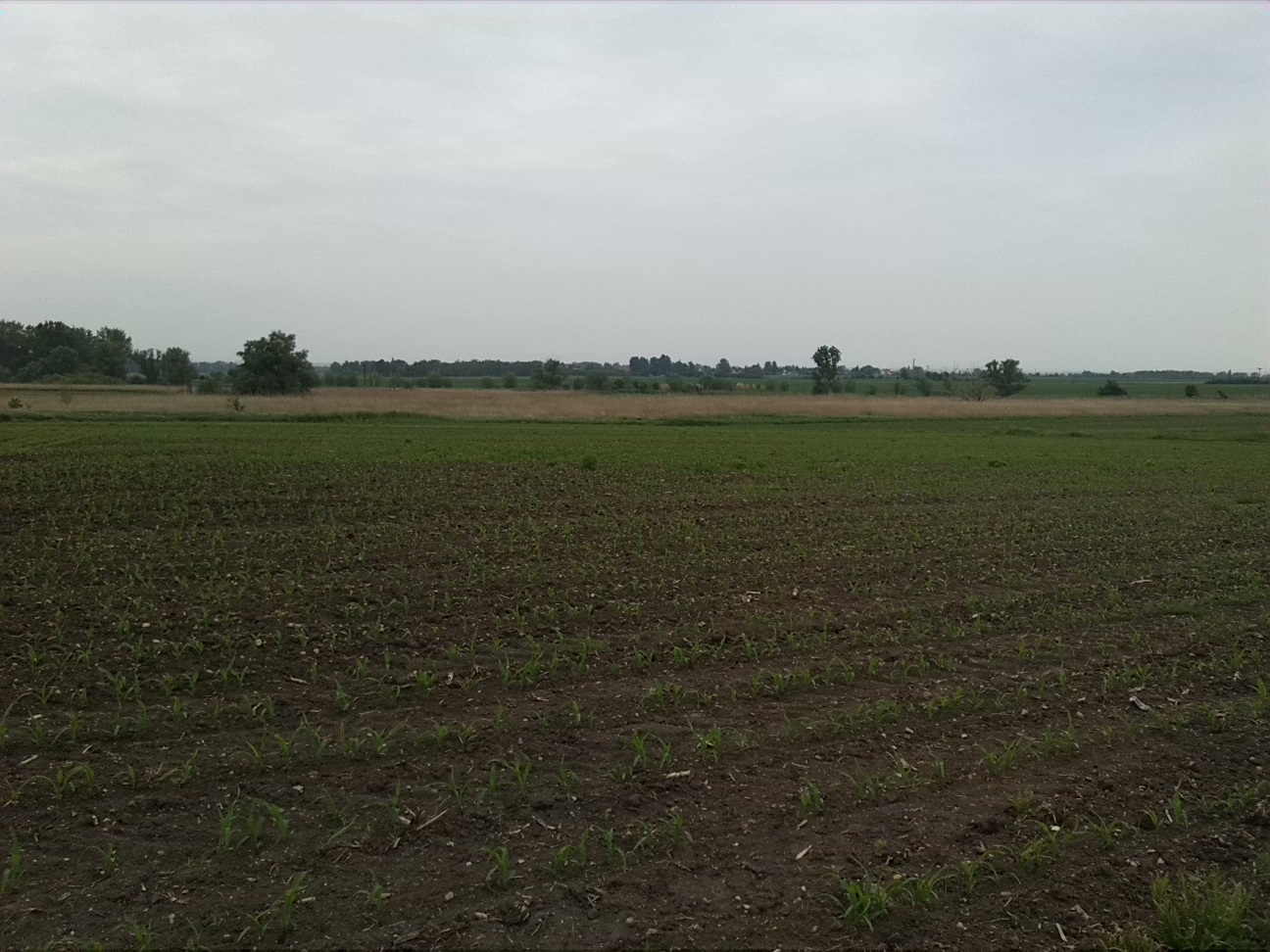 46a-Plömnitz Blick Von Nordosten Nach Südwesten Zu Mündungsgebiet Ziethe In Fuhne (1)