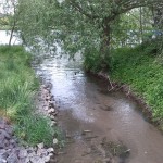 47a-Alsleben Blick Zu Mündung Schlackenbach In Saale (1)
