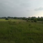 47a-Plömnitz Blick Von Weg Nach Baalberge Nach Süden in Fuhnetal Bis Kleinwirschleben (2)