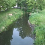 48a-Baalberge Blick Auf Fuhne Flussaufwärts Nach Süden (1)