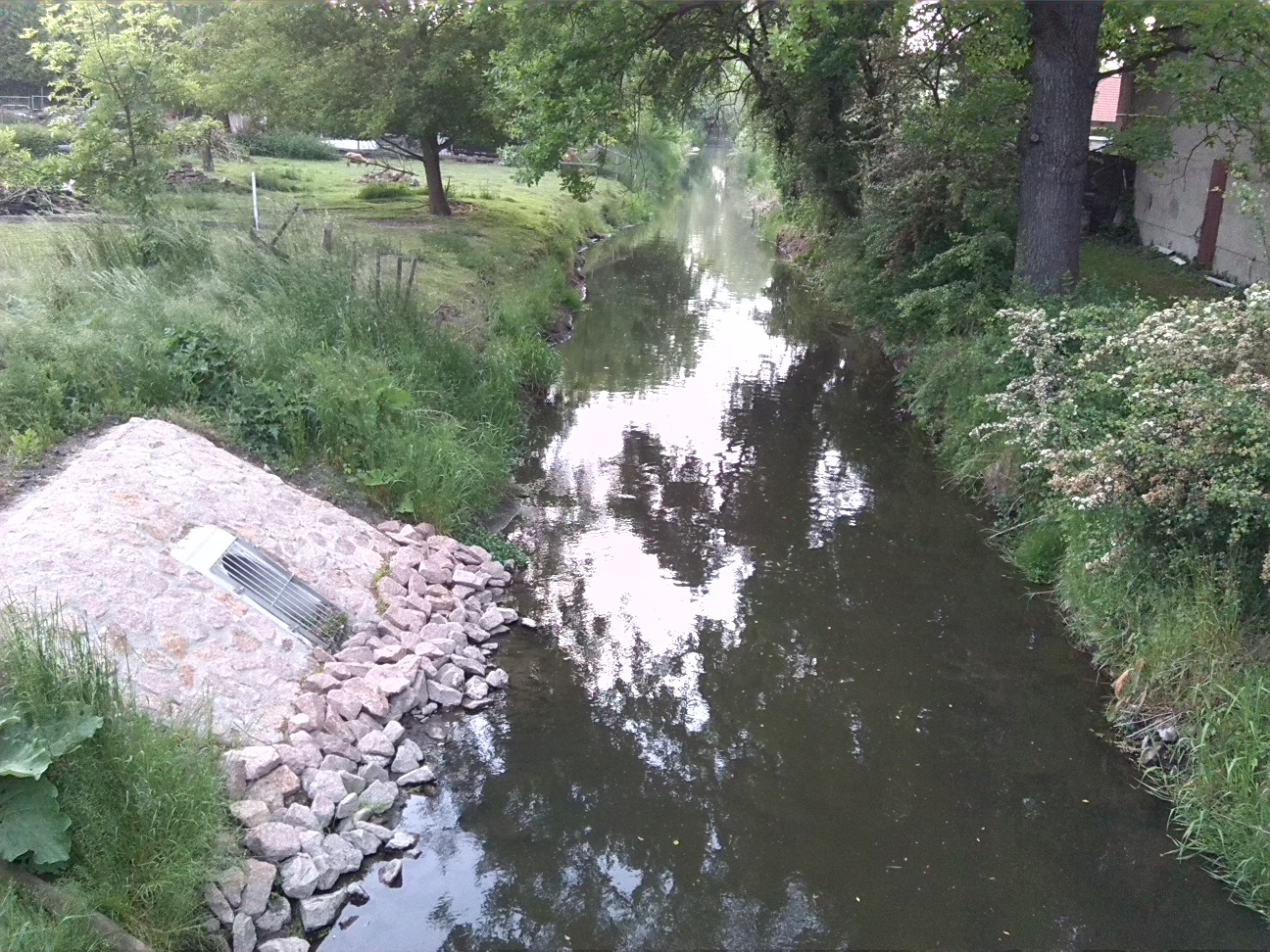 49a-Baalberge Blick Auf Fuhne Flussabwärts Nach Nordwesten (1)