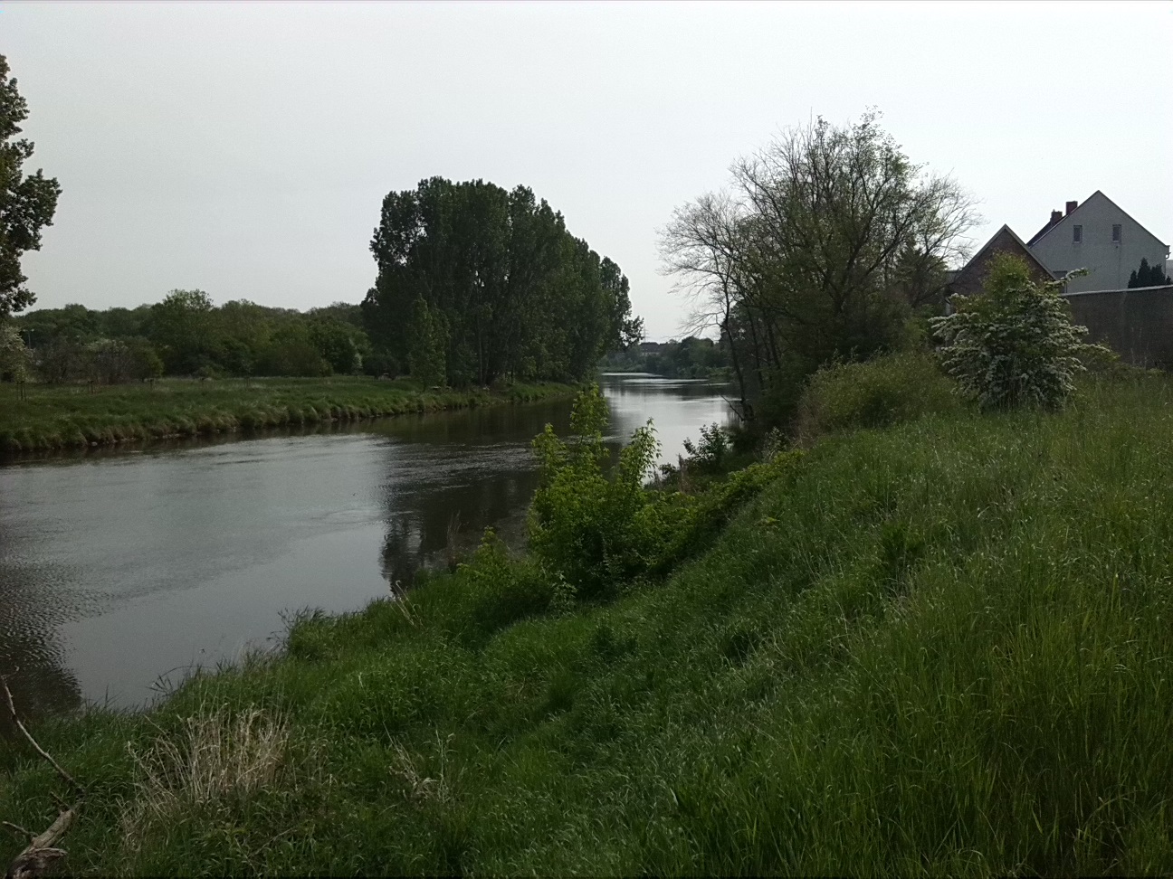 4a-Bernburg Dessauer Straße B185 Südwestlich Dröbel Blick Saale Abwärts Nach Nordosten & Zum Dröbelschen Busch