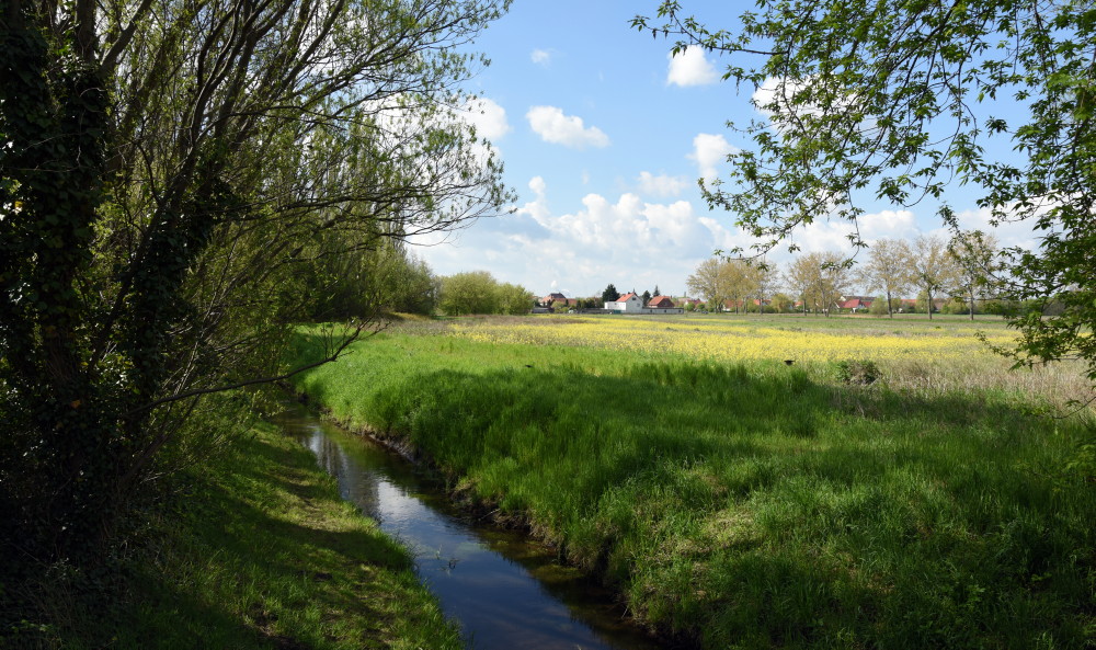 5-Halle-Sagisdorf Reide Blick Von Brücke Altenburger Straße Flußabwärts Nach Süden