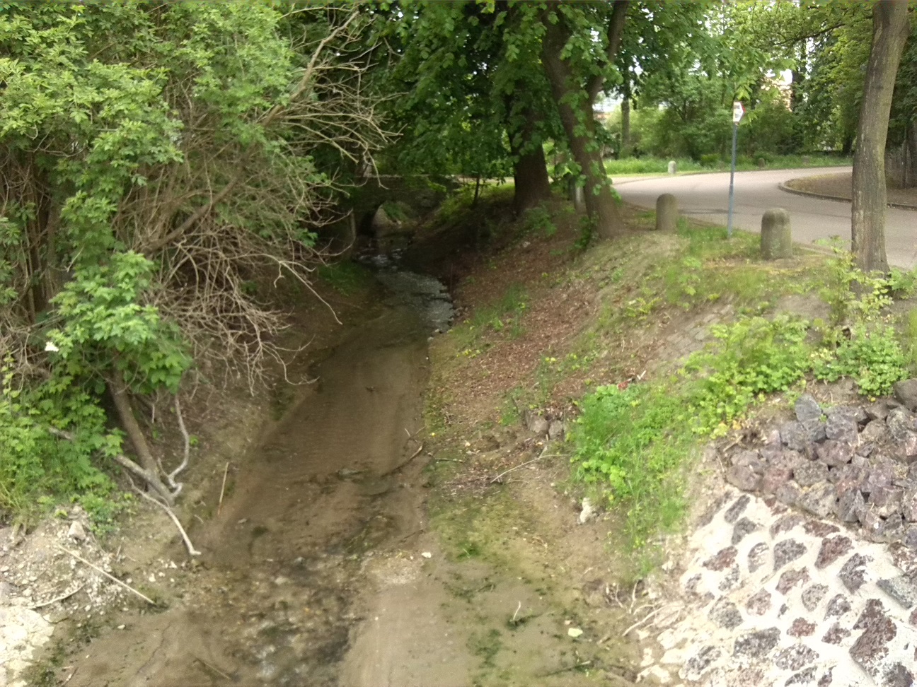 50a-Alsleben Mündungsgebiet Schlackenbach In Saale Oberhalb Brücke L153 (2)