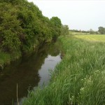 50a-Fuhneaue Zwischen Baalberge Unweit Alter Bahnbrücke Blick Fuhne Flussaufwärts Nach Südosten (1)