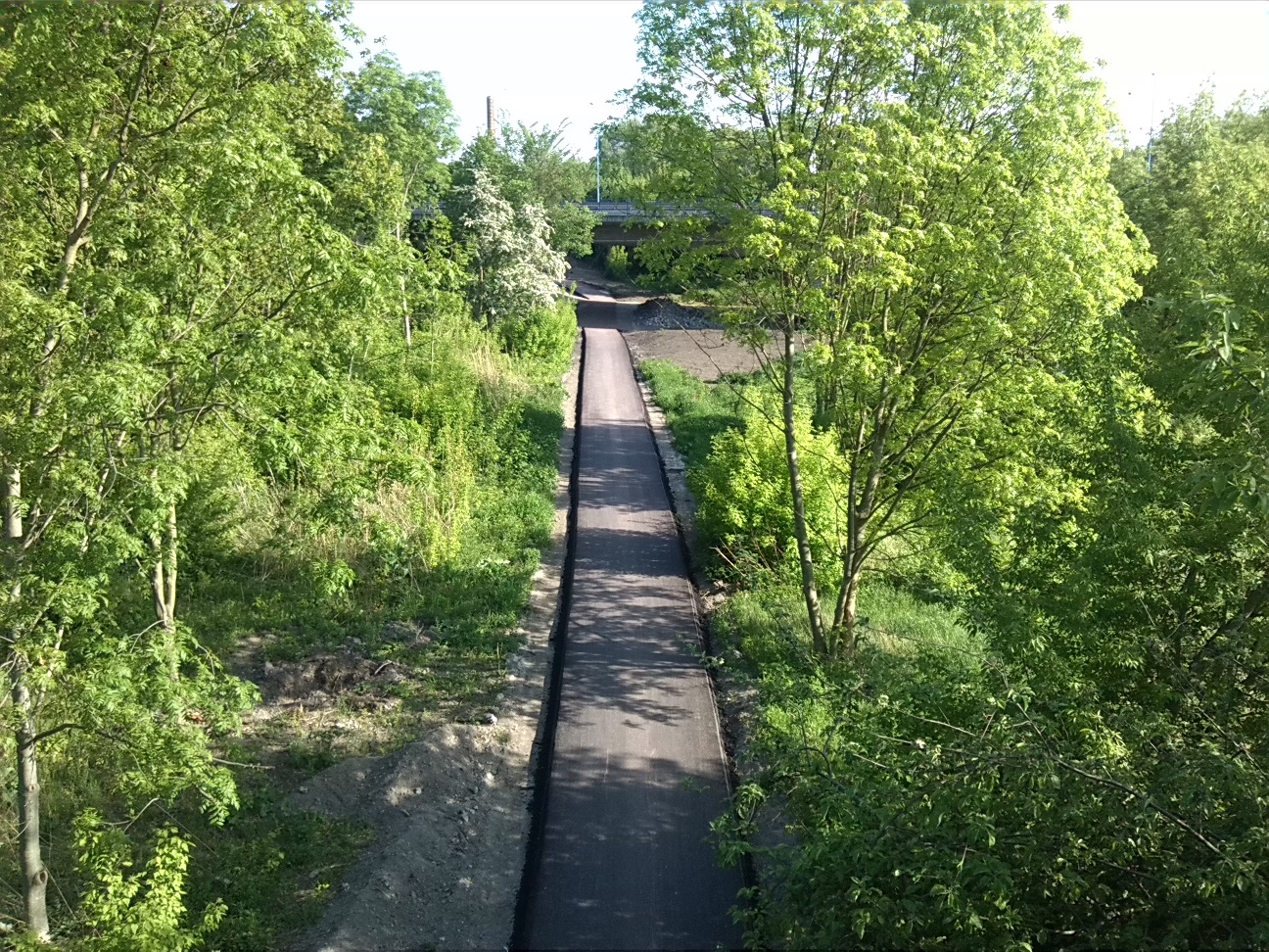 52a-Blick Von Brücke Mansfelder Straße Nach Süden Ostufer Elisabethsaale (1)