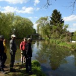 53-Leipzig Mündung Parthe In Weiße Elster Blick Nach Nordwesten