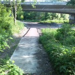 53a-Blick Von Verbindungsweg Mansfelder Straße Nach Südwesten Ostufer Elisabethsaale (3)