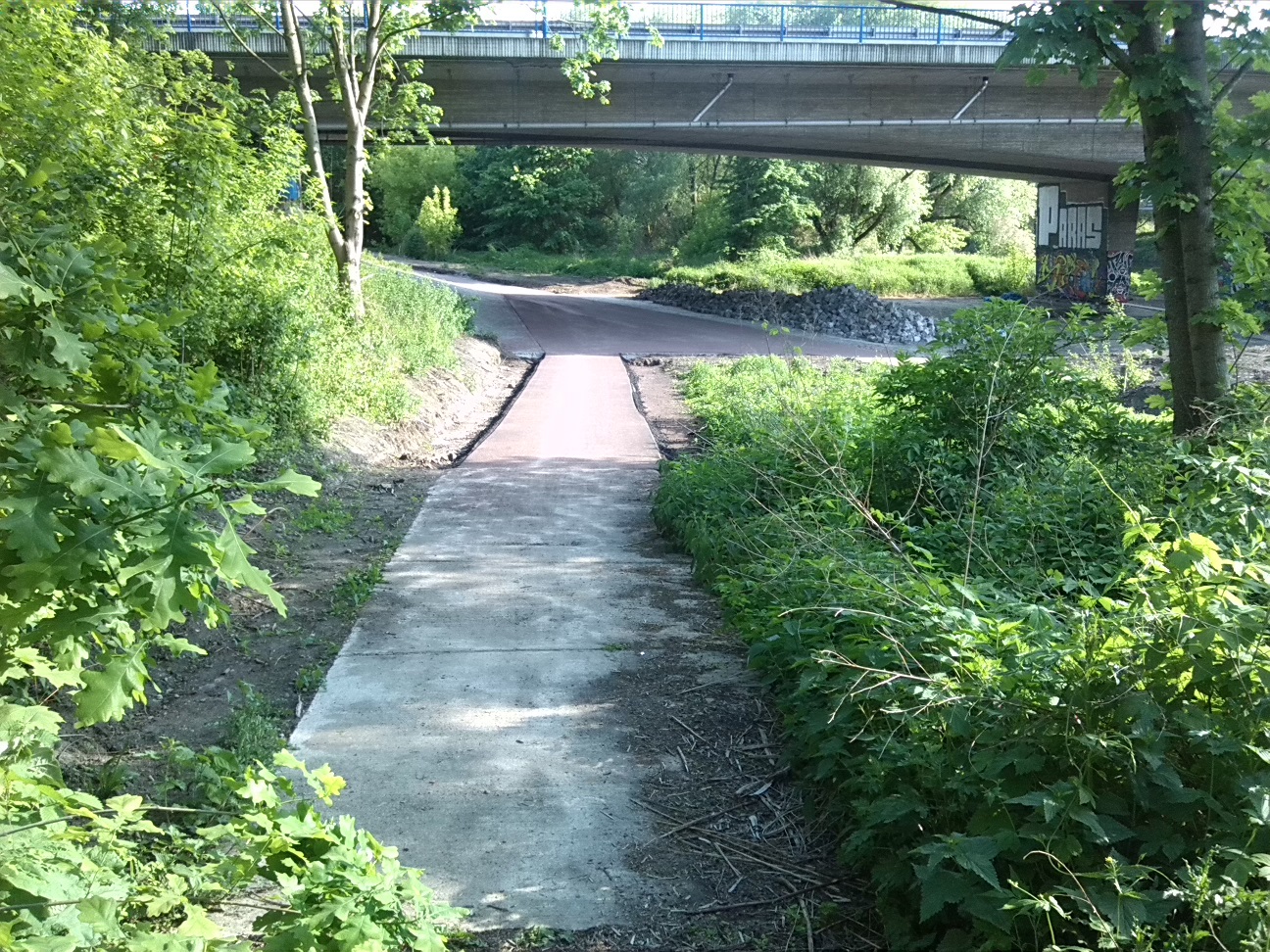 53a-Blick Von Verbindungsweg Mansfelder Straße Nach Südwesten Ostufer Elisabethsaale (3)