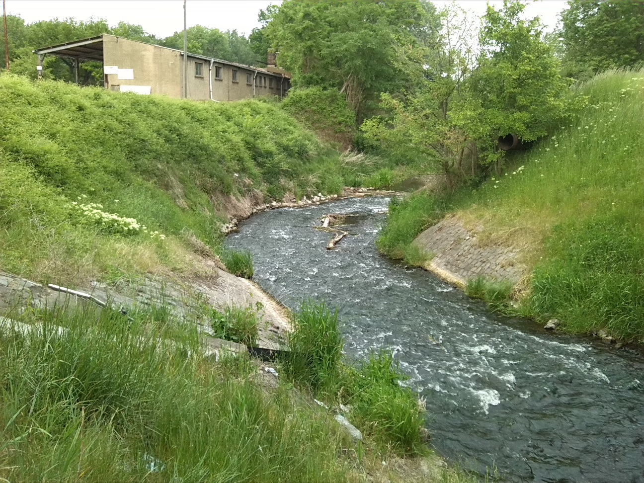56a-Bernburg Brücke Köthensche Straße B185 Blick Fuhn Abwärts Nach Nordosten In Richtung Mündung In Saale (3)