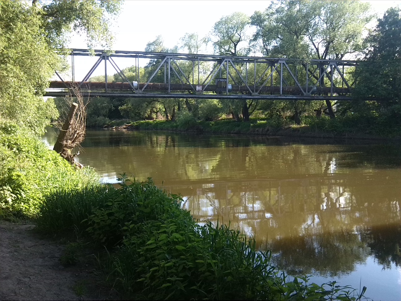59a-Ostufer Elisabethbrücke Unter Brücke An Der Magistrale Blick Nach Südwesten Flussaufwärts (1)