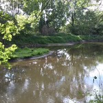 5a-Peißnitz Blick Von Südwestteil Gimritzer Park über Wilde Saale Zu Insel & Ufer Sandanger Blick Nach Nordwesten (1)