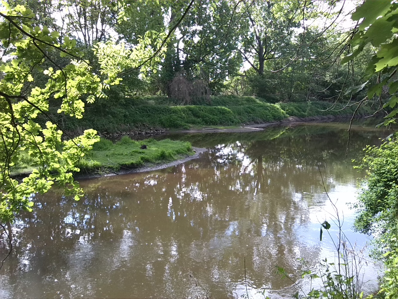 5a-Peißnitz Blick Von Südwestteil Gimritzer Park über Wilde Saale Zu Insel & Ufer Sandanger Blick Nach Nordwesten (1)