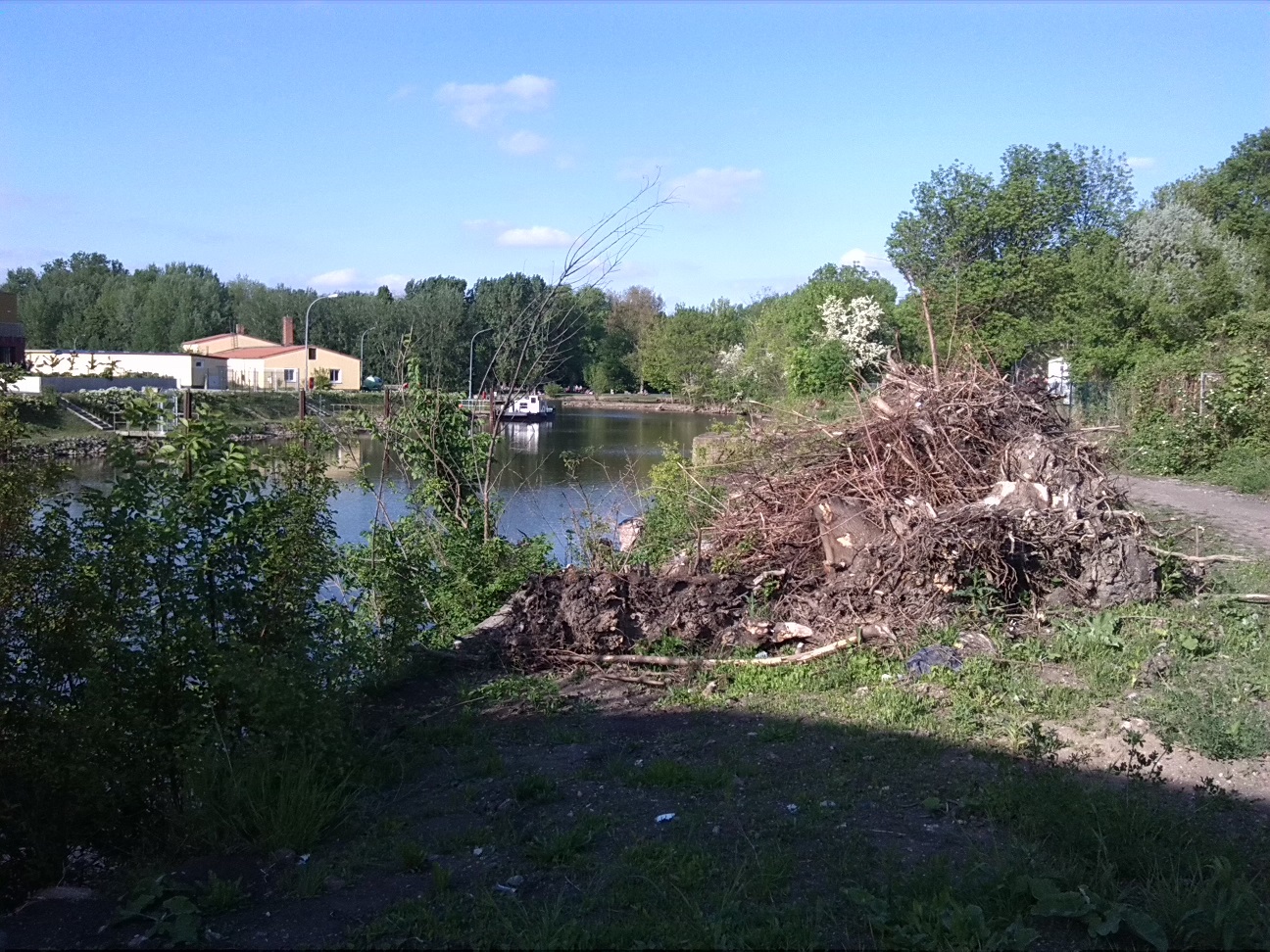 76a-Hafenbecken Alter Sophienhafen Blick Nach Nordosten In Richtung Würfelwiese (1)