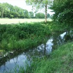 7a-Köthen Ziethe Am Nordrand Ziethe Busch Blick Flussaufwärts Nach Nordosten (2)