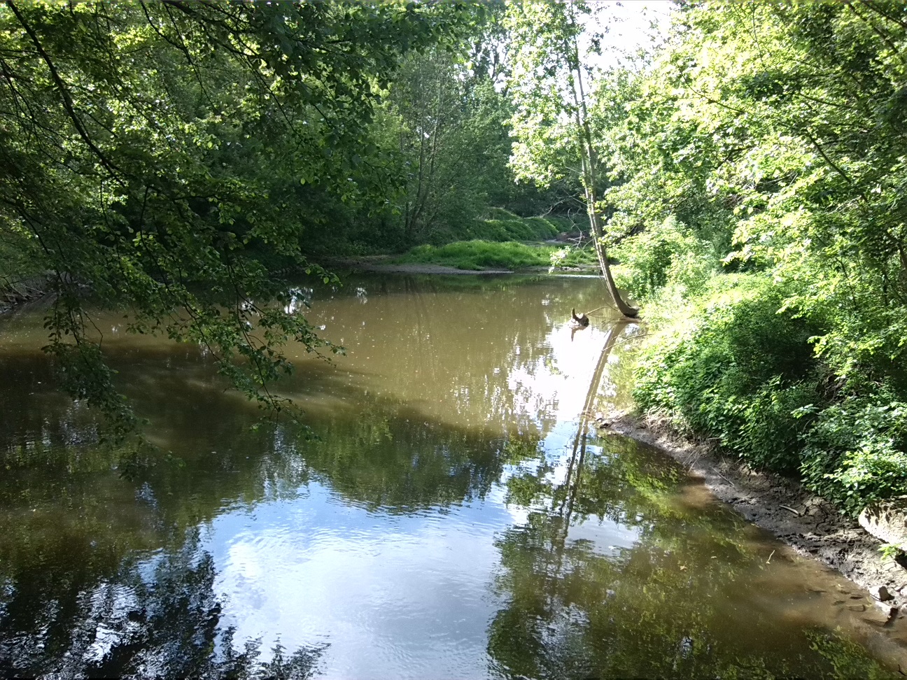 7a-Peißnitz Sandanger Blick Von Schafbrücke Wilde Saale Flussabwärts Nach Nordwesten (1)