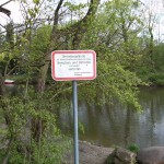 8-Südteil NSG Forstwerder Im Anschluss An Bogenbrücke Hinweisschild Wasserschifffahrtsamt Blick Nach Südosten (1)