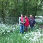 80a-Könnern-Severin Nordostteil Blick Nach Süden Mit Bärlauch (1)