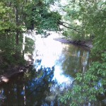 8a-Peißnitz Sandanger Blick Von Schafbrücke Wilde Saale Flussabwärts Nach Osten Flussaufwärts Zur Elisabethsaale Nordwesten (2)