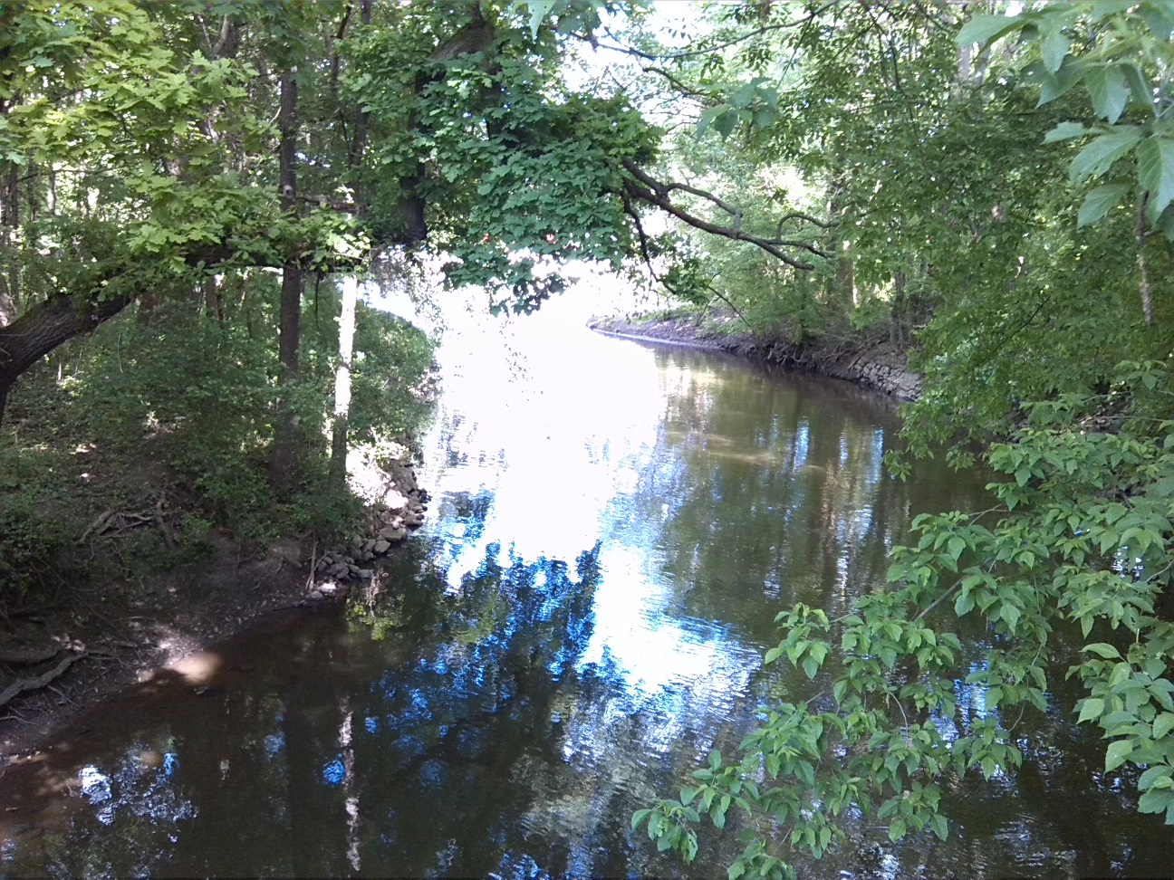8a-Peißnitz Sandanger Blick Von Schafbrücke Wilde Saale Flussabwärts Nach Osten Flussaufwärts Zur Elisabethsaale Nordwesten (2)