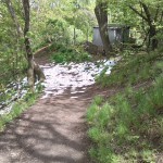 9-Verbindungsweg Klausberge & Saale Im Norden Blick Von Südwesten Nach Nordosten Hintergrund Nordbad (2)