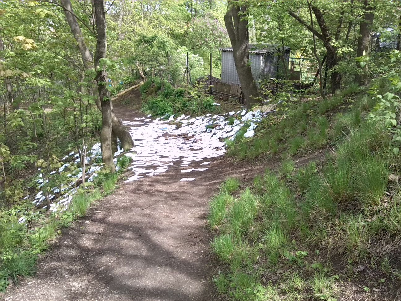 9-Verbindungsweg Klausberge & Saale Im Norden Blick Von Südwesten Nach Nordosten Hintergrund Nordbad (2)