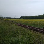 9a-Bernburg Am Werder Abzweig Am Felsenkeller Blick Nach Osten Zur B6n & Zum Dröbelschen Busch (1)