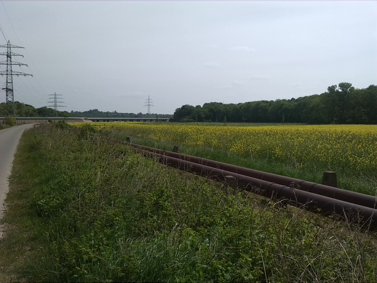 9a-Bernburg Am Werder Abzweig Am Felsenkeller Blick Nach Osten Zur B6n & Zum Dröbelschen Busch (1)