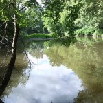 9a-Sandanger Blick Von Westlich Der Schafbrücke Wilde Saale Flussabwärts Nach Norden (1)