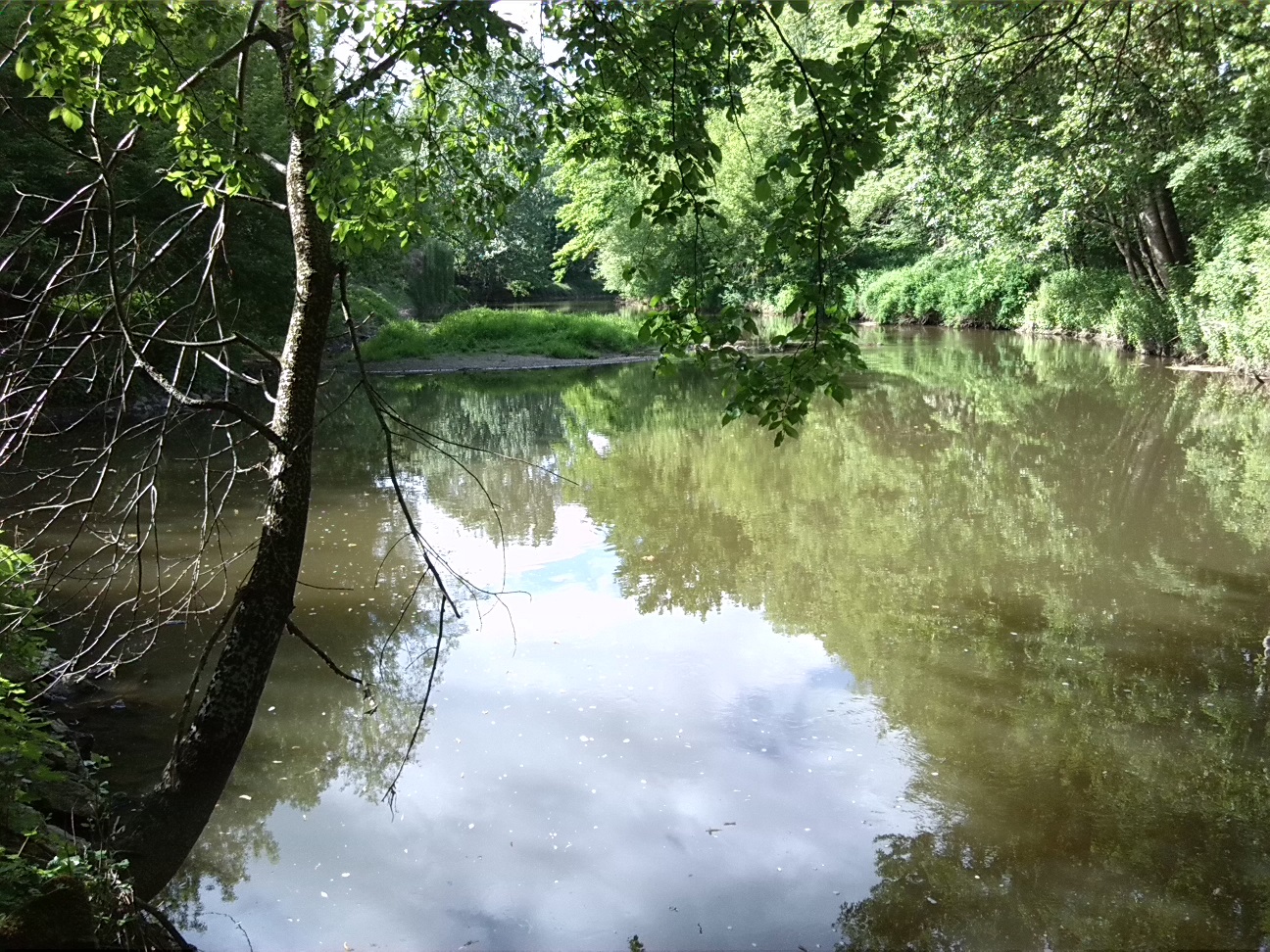 9a-Sandanger Blick Von Westlich Der Schafbrücke Wilde Saale Flussabwärts Nach Norden (1)