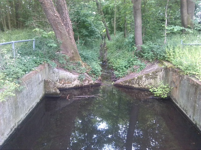 10a-Mündungsgebiet Bach Östlich Ziethebusch In Ziethe Blick Nach Süden (1)