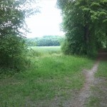 12a-Blick Von Weg Südlich Ziethe Blick Zu Ziethebusch Nach Südwesten (1)