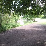 13a-Bodeaue Zwischen Hohenerxleben & Neugattersleben Schlosspark Blick Nach Nordosten (2)