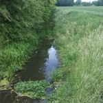 14a-Blick Von Ziethebrücke Nach Porst Zietheabwärts Nach Südwesten (2)