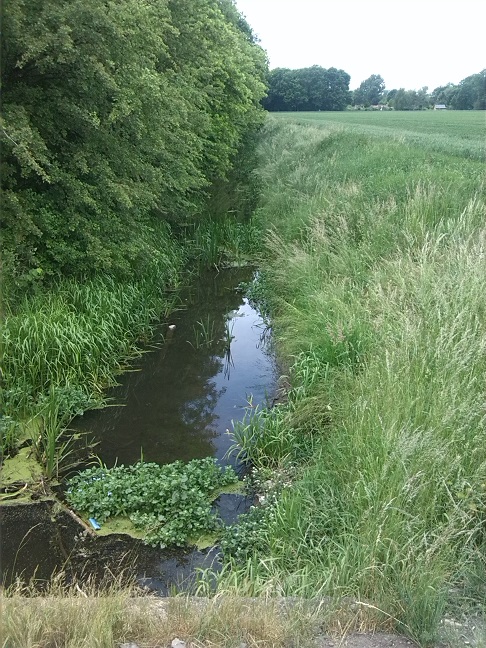 14a-Blick Von Ziethebrücke Nach Porst Zietheabwärts Nach Südwesten (2)