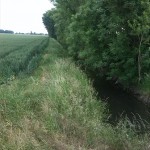 15a-Blick Von Ziethebrücke Nach Porst Zietheaufwärts Nach Nordosten (1)