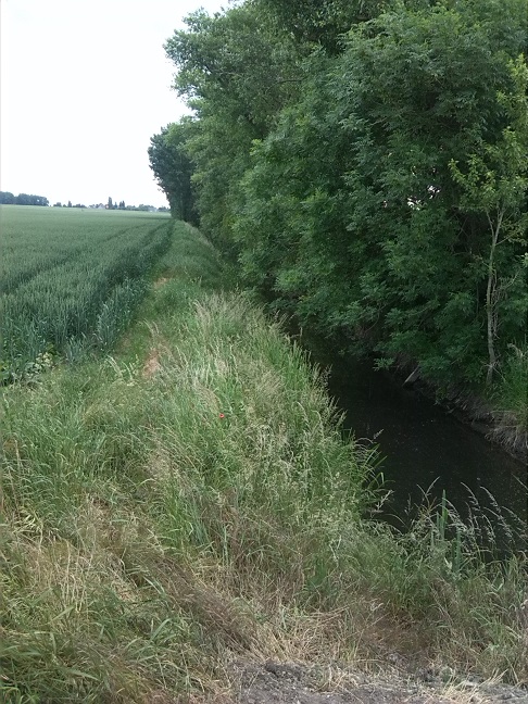 15a-Blick Von Ziethebrücke Nach Porst Zietheaufwärts Nach Nordosten (1)
