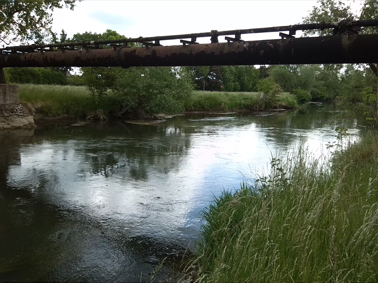 17a-Bodeaue Zwischen Hohenerxleben & Neugattersleben Bodebrücke Südostrand Schlosspark Blick Nach Südosten (1)