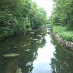 21a-Neugattersleben Blick Bodeabwärts Nach Südosten (1)