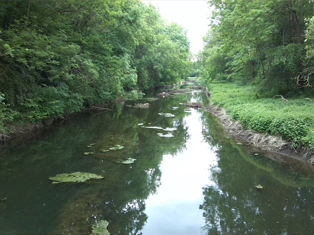 21a-Neugattersleben Blick Bodeabwärts Nach Südosten (1)