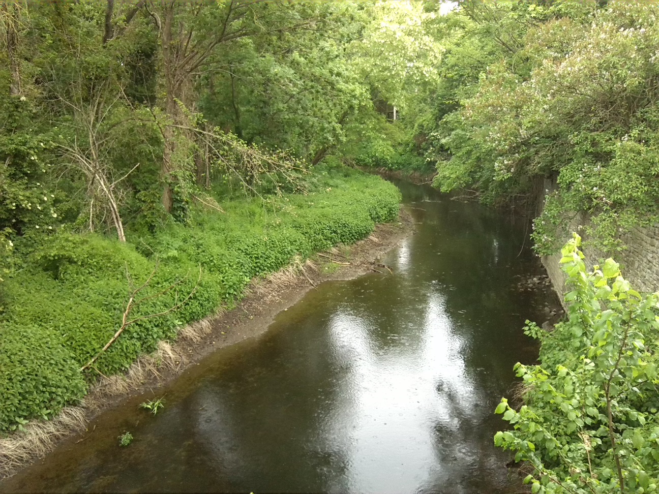 24a-Neugattersleben Brücke Friedensstraße Blick Bodeaufwärts Nach Nordosten (1)